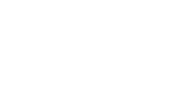 Silva Group