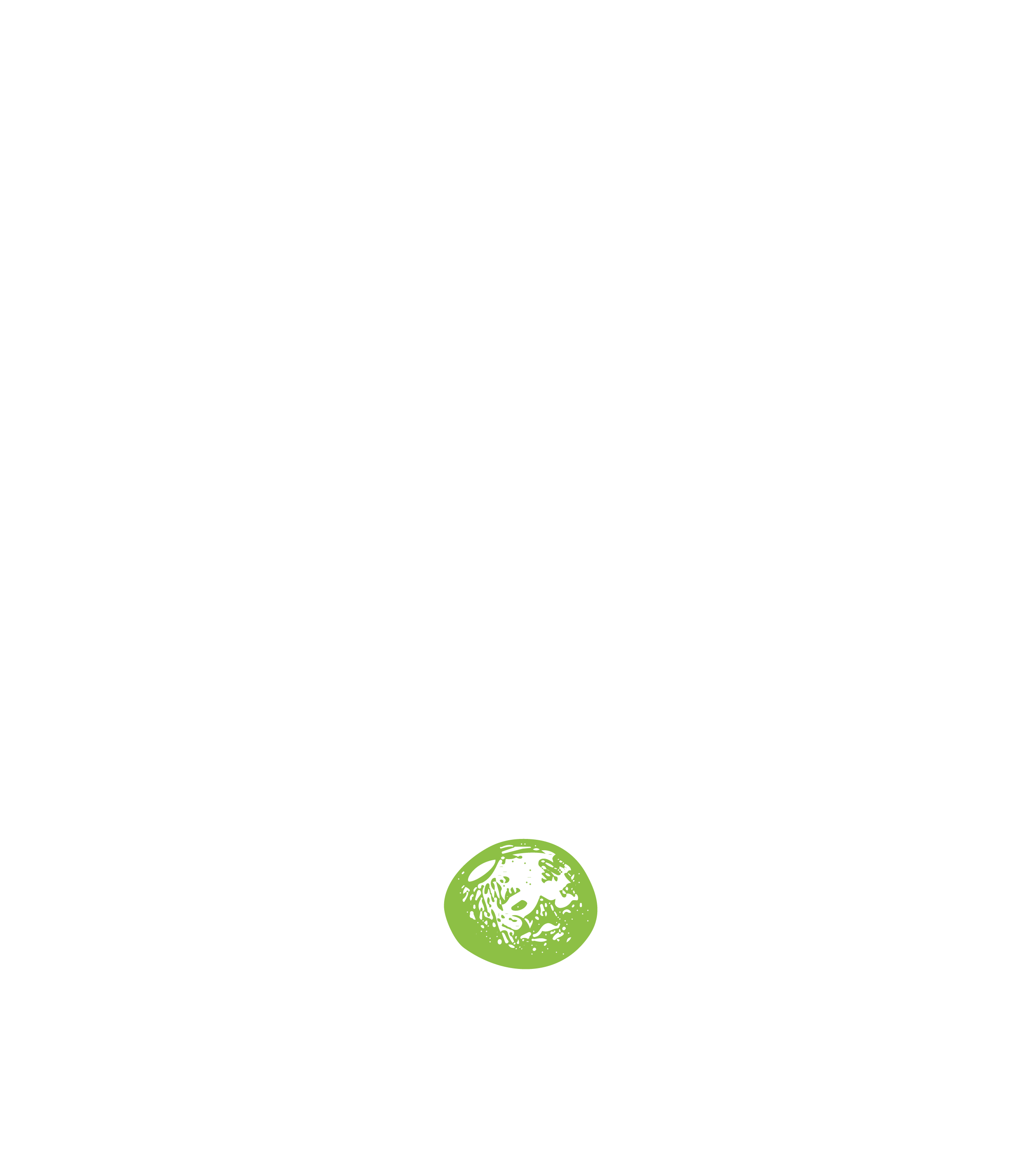 OGS Philosophy — Seeds, Plants, Growth